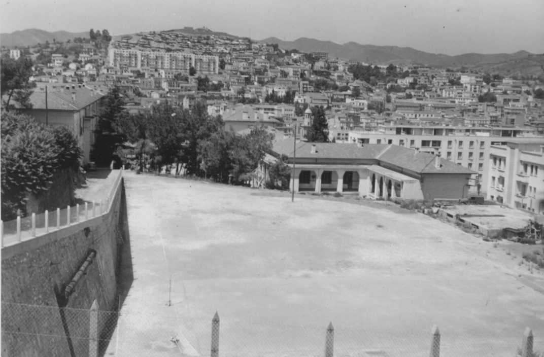 L.Luciani:vue de l'arrire